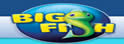 BigFishGames